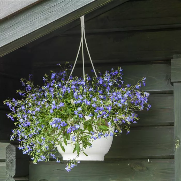 Einen Fahrradschuppen selbst bauen Einen Fahrradschuppen selbst bauen