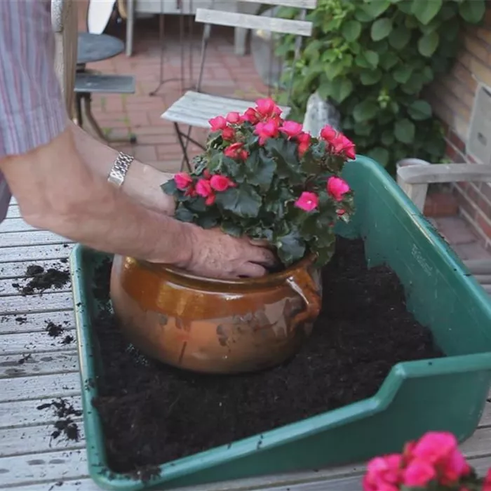Blumenkübel - Bepflanzen mit mehreren Sommerblumen Blumenkübel - Bepflanzen mit mehreren Sommerblumen