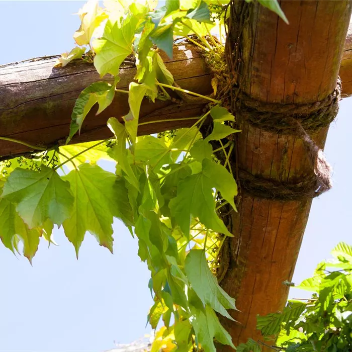 Mit dem richtigen Balkon-Sichtschutz einen Rückzugsort schaffen Mit dem richtigen Balkon-Sichtschutz einen Rückzugsort schaffen
