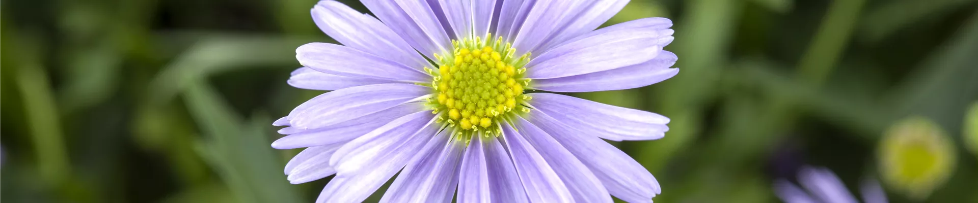 GS477516.jpg GS477516.jpg